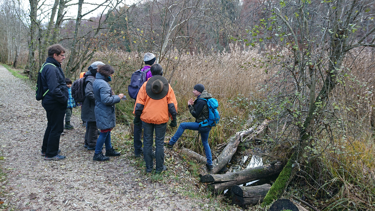 Biberexkursion 2019 - Schutzverband Wohlensee