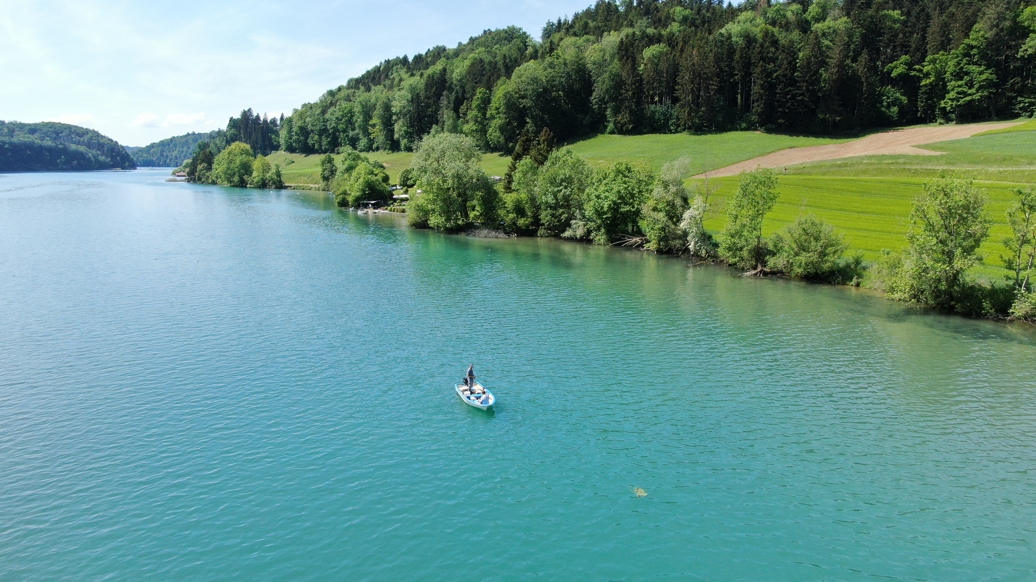 Neue Infotafeln: Kodex zum Schutz der Wasservögel am Wohlensee